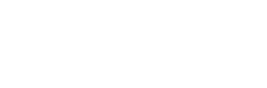 light logo